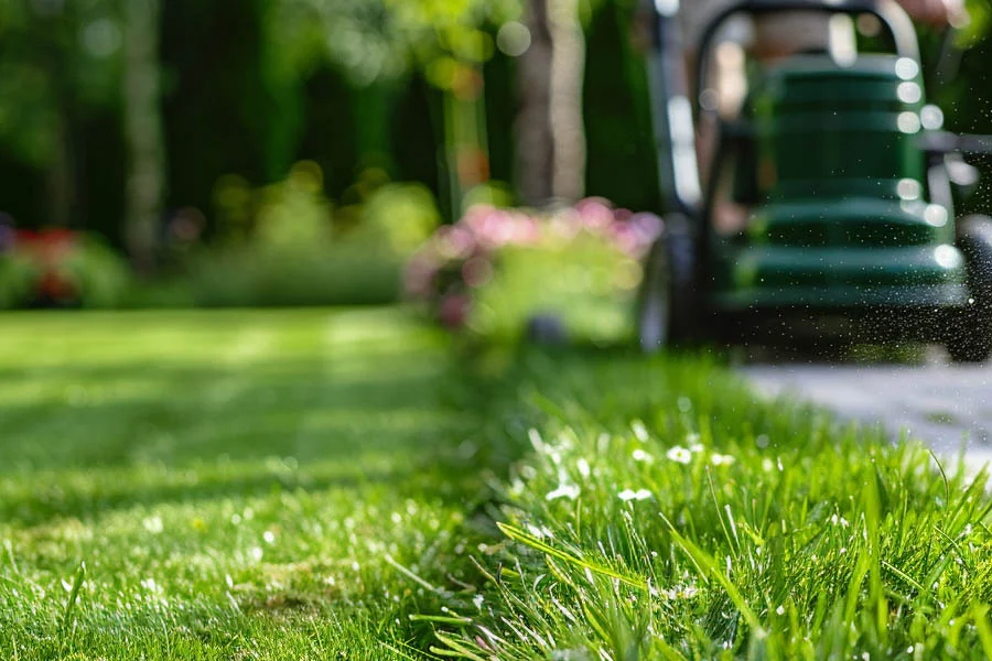 walk behind electric lawn mower